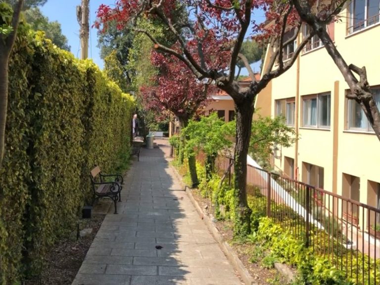 60343507 2218336194927268 1338356189330669568 o 768x576