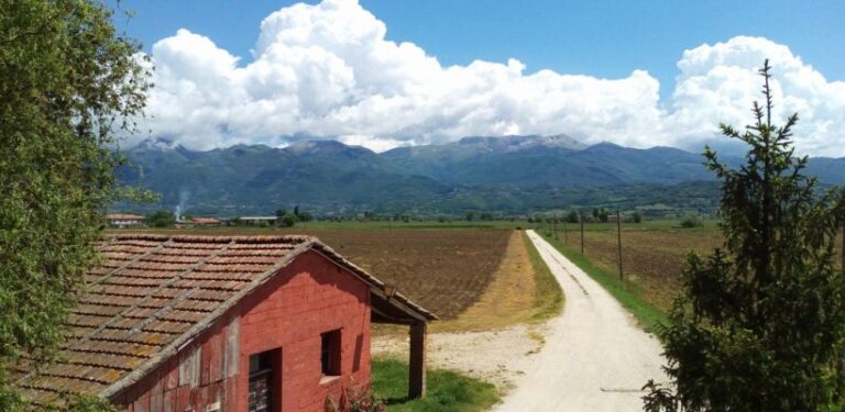 viale 820x400 1 768x375