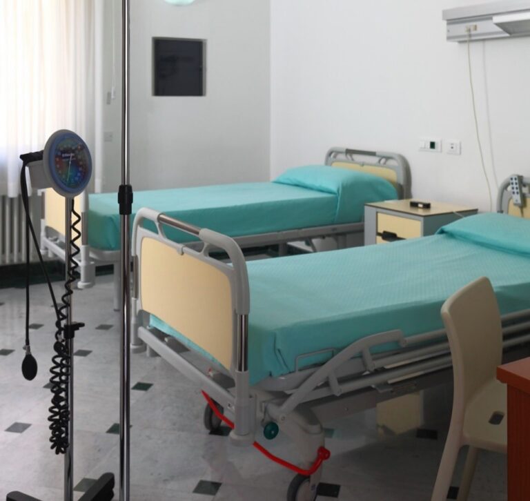 64893236 2254863867960060 8246621917407084544 n 768x726